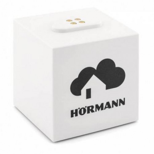 HORMANN Homee Brain базовый кубик